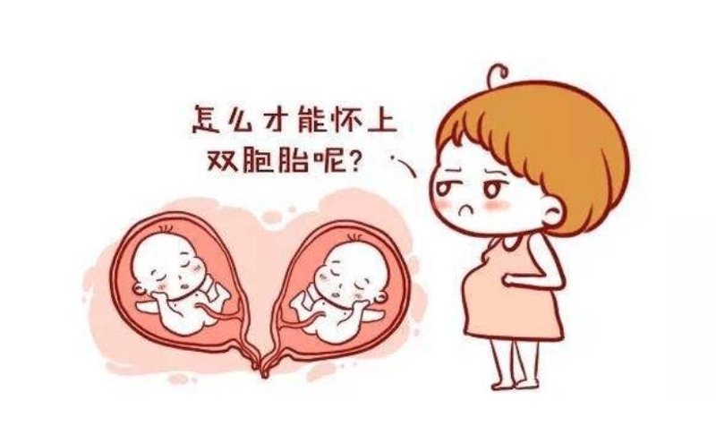 石家庄供卵试管：选择适合自己的辅助生育方式