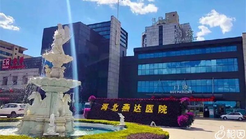 河北供卵试管