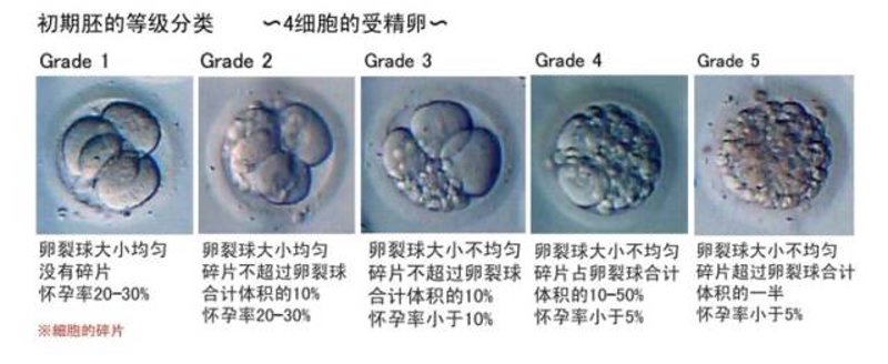 三代试管婴儿：技术升级，助更多家庭实现心愿